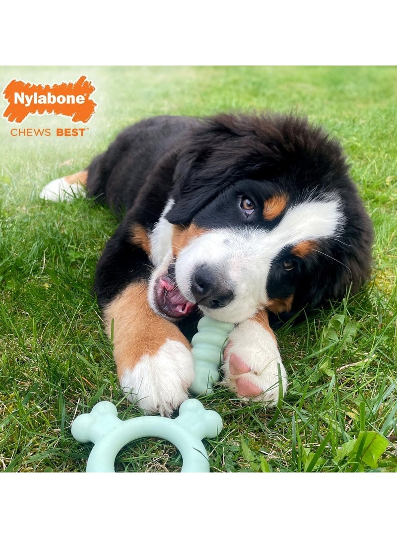 Nylabone Sensory Material Puppy Teething Ring Chew Toy Chicken Flavour Small Regular for Puppies up to 11kg  - Image 4