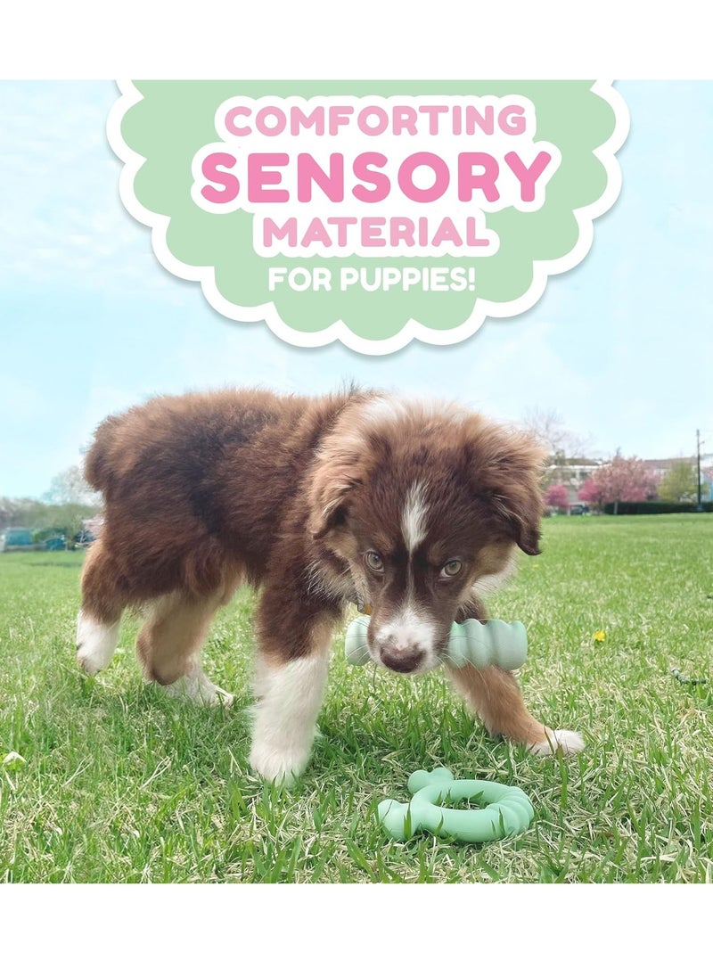 Nylabone Sensory Material Puppy Teething Ring Chew Toy Chicken Flavour Small Regular for Puppies up to 11kg  - Image 5