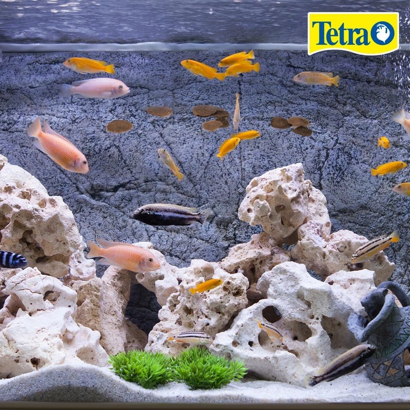 TetraCichlid Cichlid Crisps Advanced Formula - 8.82 Ounce - Image 1