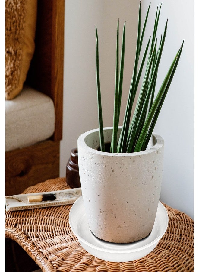 Bleuhome Plant Saucer 6 inch - Image 4