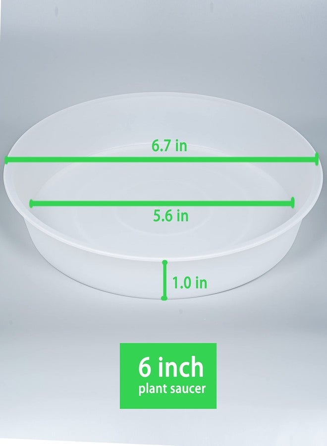 Bleuhome Plant Saucer 6 inch - Image 2