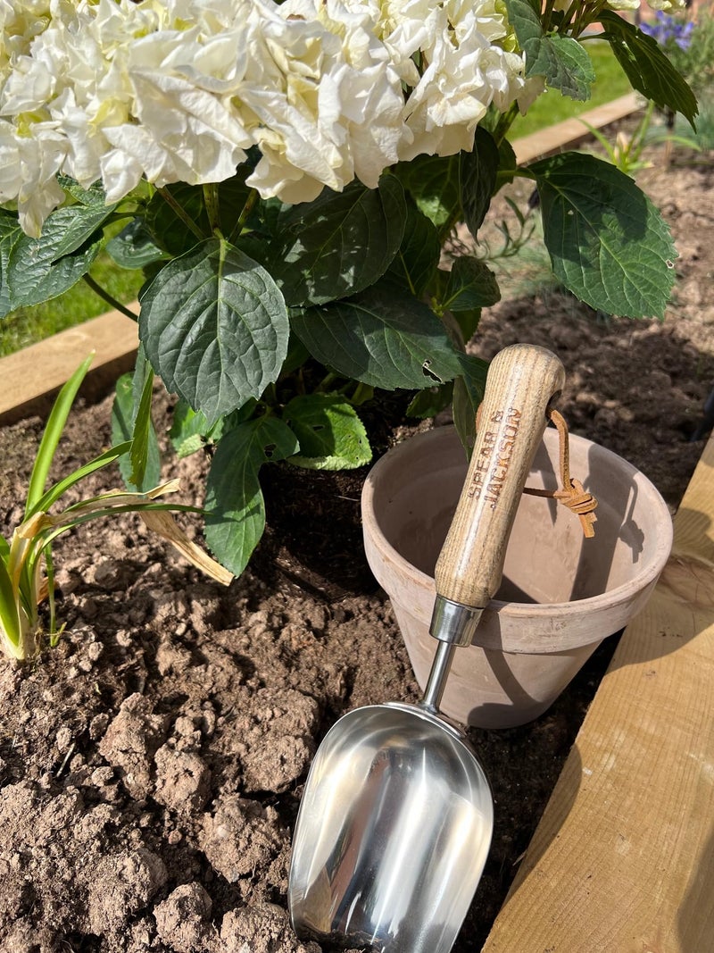Spear  Jackson Spear & Jackson 5060SS Traditional Stainless Soil Scoop - Image 4