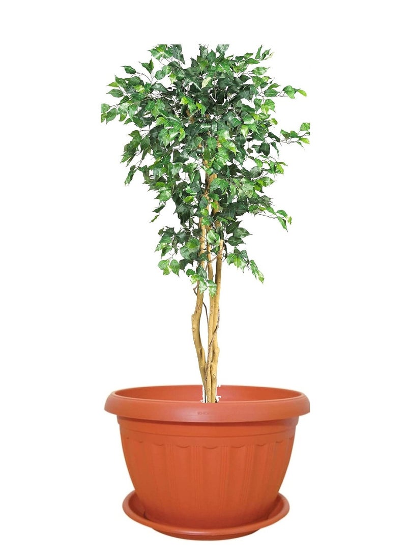 Generic Planter Plastic Round Pot, Brown , 30 cm - Image 2