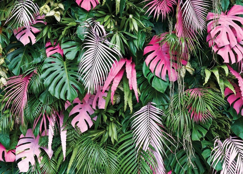SJOLOON Jungle Green Leaves Backdrop Tropical Plants Photography Backdrop for Baby Birthday Party Newborn Studio Props 11586 8x6FT