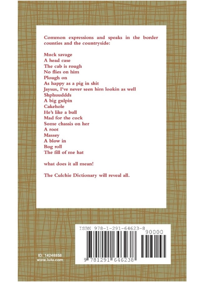 The Culchie Dictionary  - Image 2