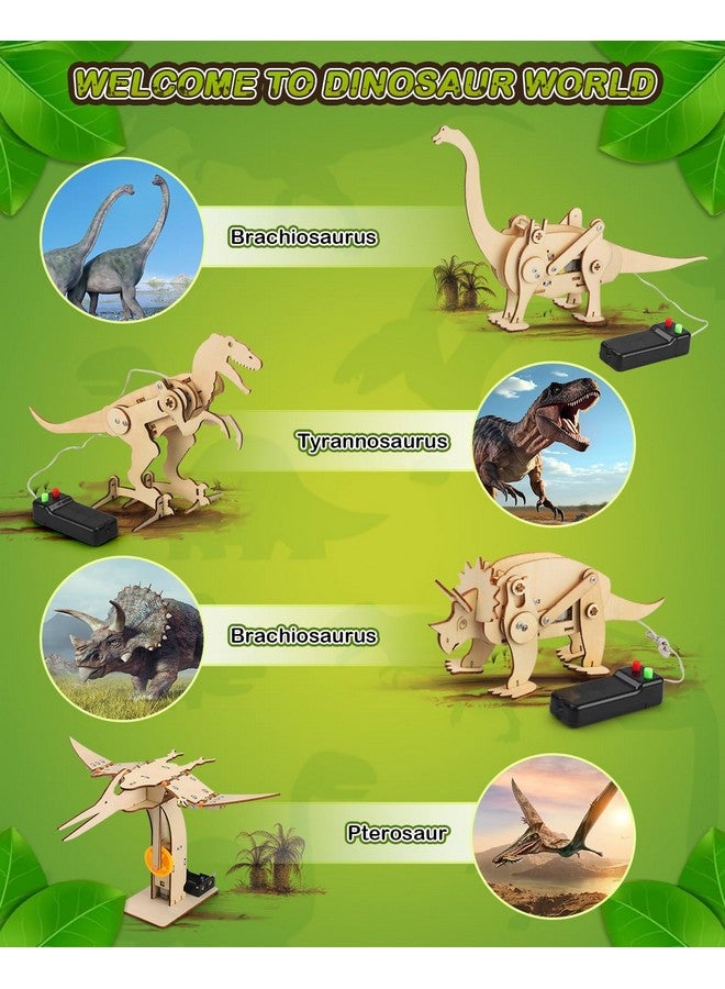 بوراكسي ألعاب الديناصورات، مجموعات جذعية 4 في 1 للأطفال من سن 8 إلى 10 سنوات، ألعاب للأعمار من 8 إلى 13 سنة، مشاريع بناء علمية تعليمية، ألغاز خشبية ثلاثية الأبعاد، حرف روبوتية، هدايا للأولاد والبنات من سن 7 إلى 8 سنوات و9 سنوات و10 سنوات و11 سنة و12 سنة و13 سنة - Image 4