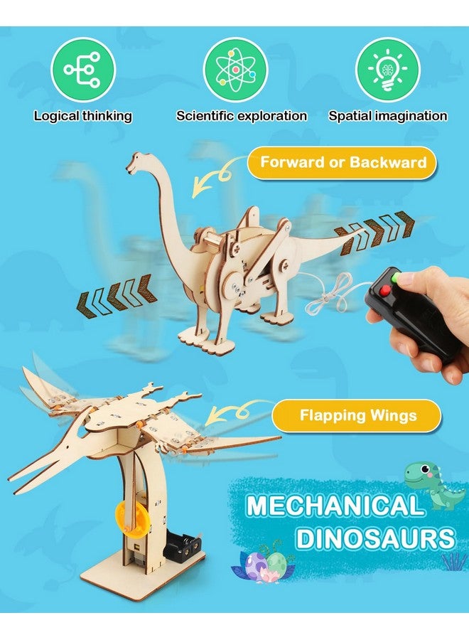 بوراكسي ألعاب الديناصورات، مجموعات جذعية 4 في 1 للأطفال من سن 8 إلى 10 سنوات، ألعاب للأعمار من 8 إلى 13 سنة، مشاريع بناء علمية تعليمية، ألغاز خشبية ثلاثية الأبعاد، حرف روبوتية، هدايا للأولاد والبنات من سن 7 إلى 8 سنوات و9 سنوات و10 سنوات و11 سنة و12 سنة و13 سنة - Image 3