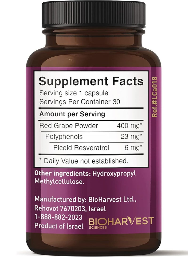 VINIA مسحوق العنب الأحمر سريع الامتصاص piceid ريسفيراترول 12 ساعة إطلاق مستدام 30 كبسولة نباتية - Image 2
