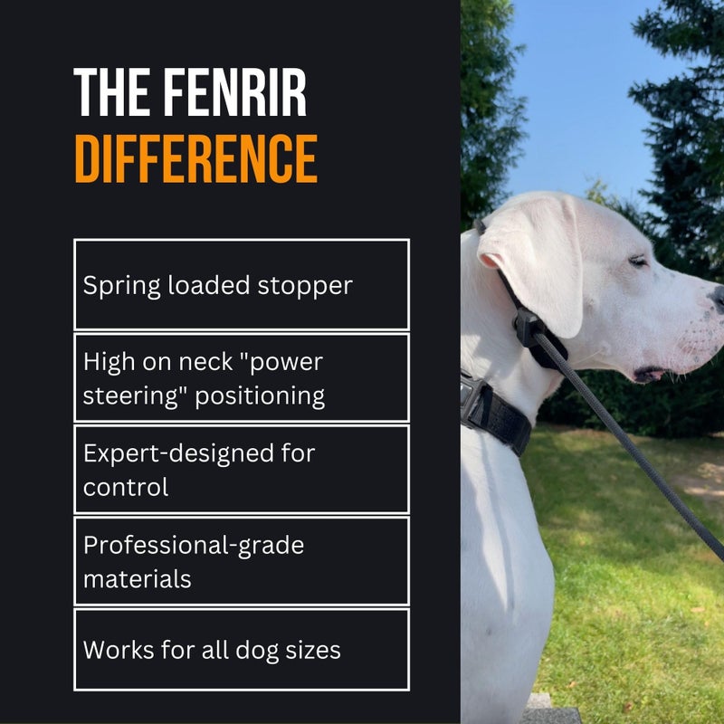 Fenrir Slip Leash 1.4m Professional Dog Training Lead to Stop Pulling, Perfect for Walks, Easy to Use, Spring Loaded Stopper, Light Weight and Durable (Green) - Image 5