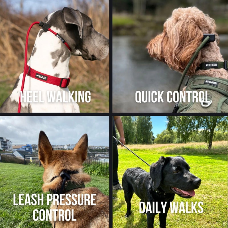 Fenrir Slip Leash 1.4m Professional Dog Training Lead to Stop Pulling, Perfect for Walks, Easy to Use, Spring Loaded Stopper, Light Weight and Durable (Green) - Image 4