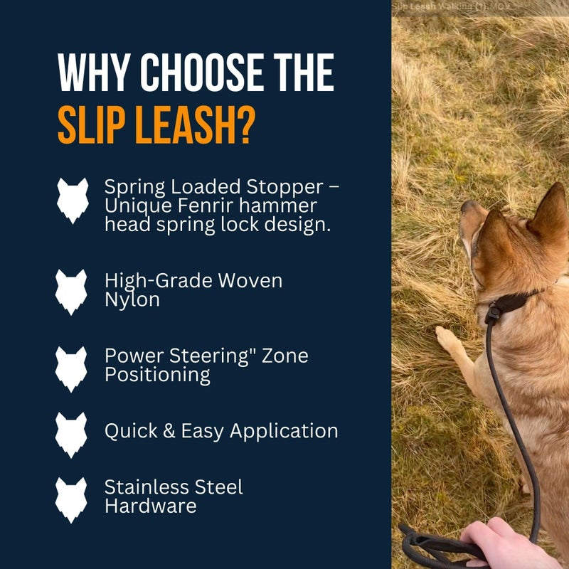 Fenrir Slip Leash 1.4m Professional Dog Training Lead to Stop Pulling, Perfect for Walks, Easy to Use, Spring Loaded Stopper, Light Weight and Durable (Green) - Image 3