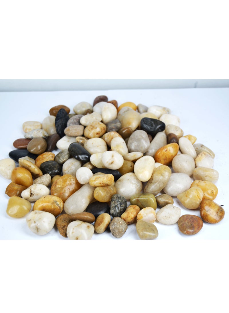 Aquarium Pebbles Natural Gravel Fish Tank Stones Multicolor - Image 1