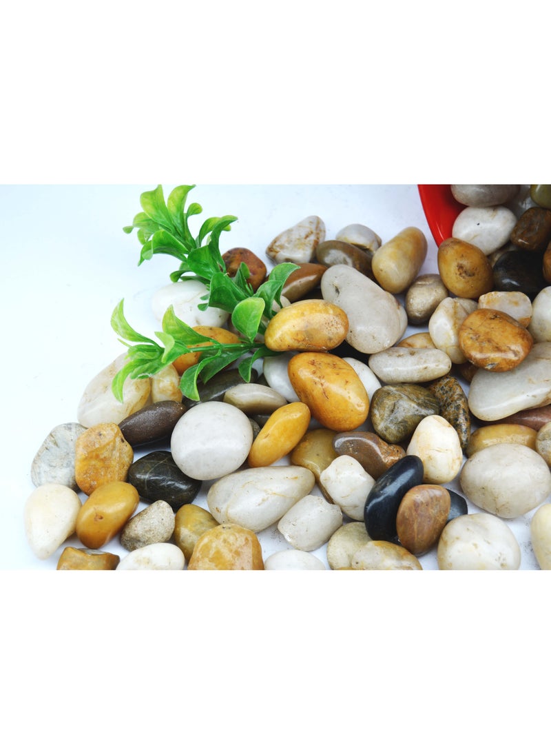 Aquarium Pebbles Natural Gravel Fish Tank Stones Multicolor - Image 3