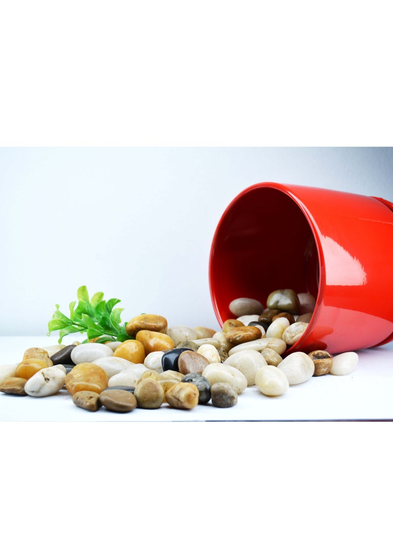 Aquarium Pebbles Natural Gravel Fish Tank Stones Multicolor - Image 2