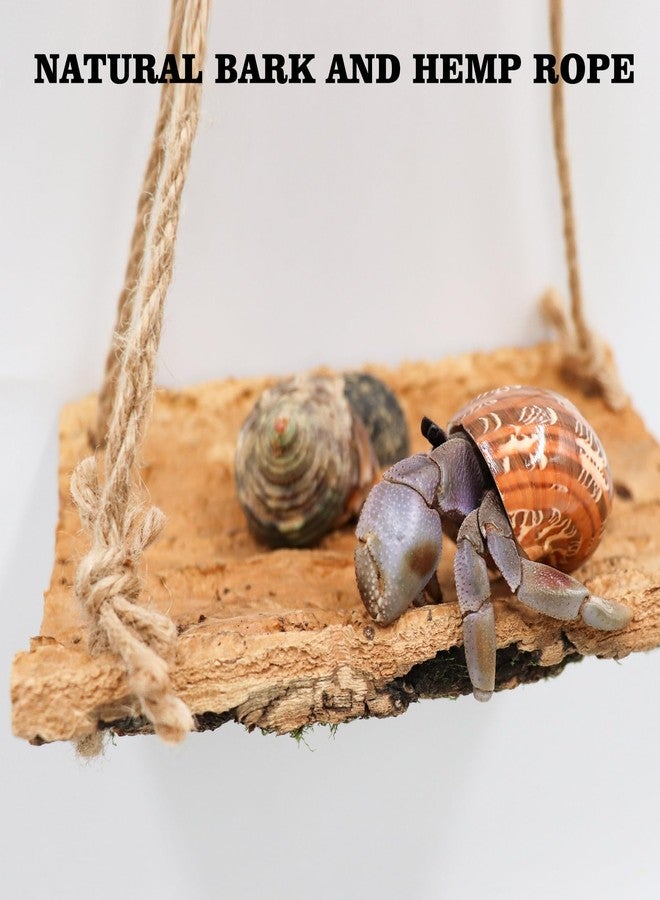 Oooct Hermit Crab Climbing Toy, Natural Wooden Reptile Swing Toy, Pet Cage Tank Aquarium Accessories for Hermit Crab Lizard Chameleon Hamster Guinea Pig Chinchilla Bird Parrot - Image 4
