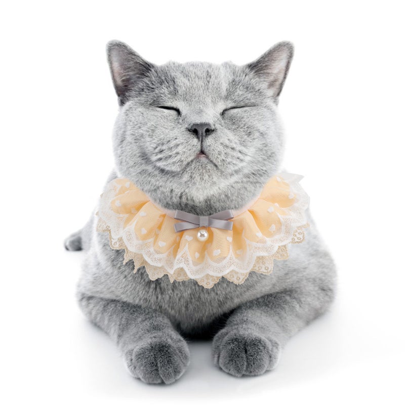 🐾 طوق أنيق ومريح لإكسسوار الحيوانات الأليفة للارتداء اليومي والحفلات - Image 5