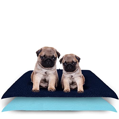 Amorite Washable Dog Pee Pads 70 X 50 Dark Blue + Sea Blue Pack of 2 (Small) | Reusable Dog Potty Training Mat | Non-Slip Pee Mat for Dogs and Puppies | Indoor Pet Training Pads | Pee Sheets for Dog - Image 1