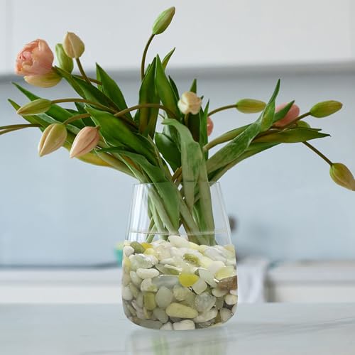 SHIZWU 2LB Succulent Jade Pebbles for Indoor Plants, 3/8 Inch Natural Decorative Polished Stones, River Rocks for Landscaping,Vase, Flowerpot Decoration, Indoor Decoration and Garden Decoration - Image 5