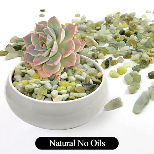 SHIZWU 2LB Succulent Jade Pebbles for Indoor Plants, 3/8 Inch Natural Decorative Polished Stones, River Rocks for Landscaping,Vase, Flowerpot Decoration, Indoor Decoration and Garden Decoration - Image 3