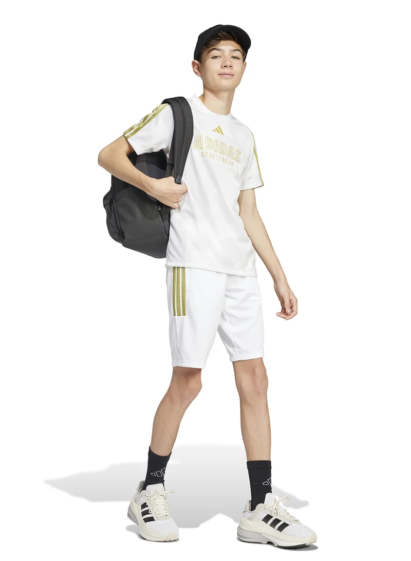 Adidas Youth House Of Tiro Colors Of Football Shorts