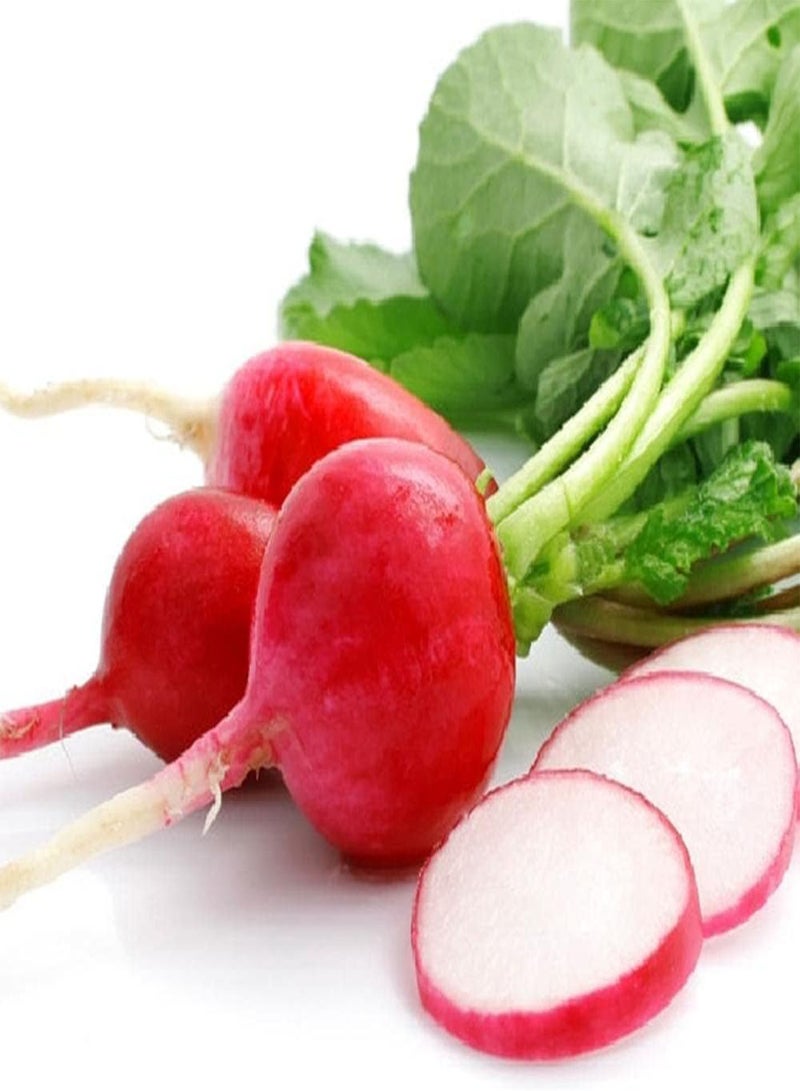 GGOOT 50Pcs Easy Planted Radish Seeds Annual Round Vegetables Unique Red Skin is Eye Catching Decorate Outdoor Vegetable Garden - Image 1