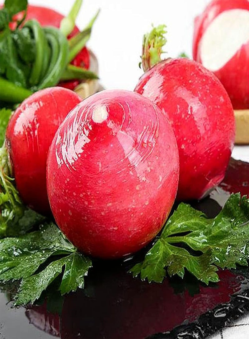 GGOOT 50Pcs Easy Planted Radish Seeds Annual Round Vegetables Unique Red Skin is Eye Catching Decorate Outdoor Vegetable Garden - Image 2