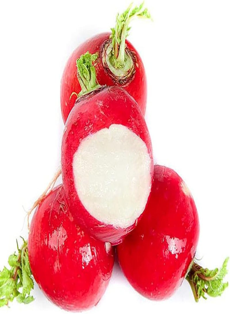 GGOOT 50Pcs Easy Planted Radish Seeds Annual Round Vegetables Unique Red Skin is Eye Catching Decorate Outdoor Vegetable Garden - Image 3