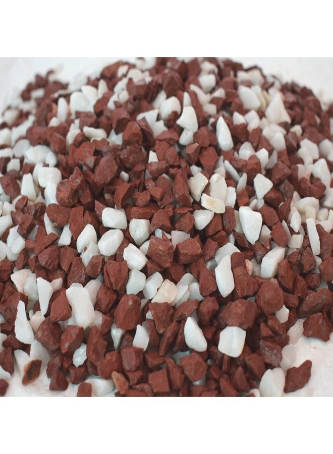 Ercole Decorative Stones Marble Chips Pebble Stones for Aquarium Home Garden Indoor & Outdoor Decoration (White & Brown, 2 Kg) - Image 3
