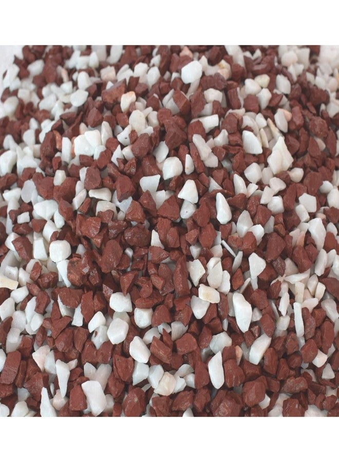 Ercole Decorative Stones Marble Chips Pebble Stones for Aquarium Home Garden Indoor & Outdoor Decoration (White & Brown, 2 Kg) - Image 2