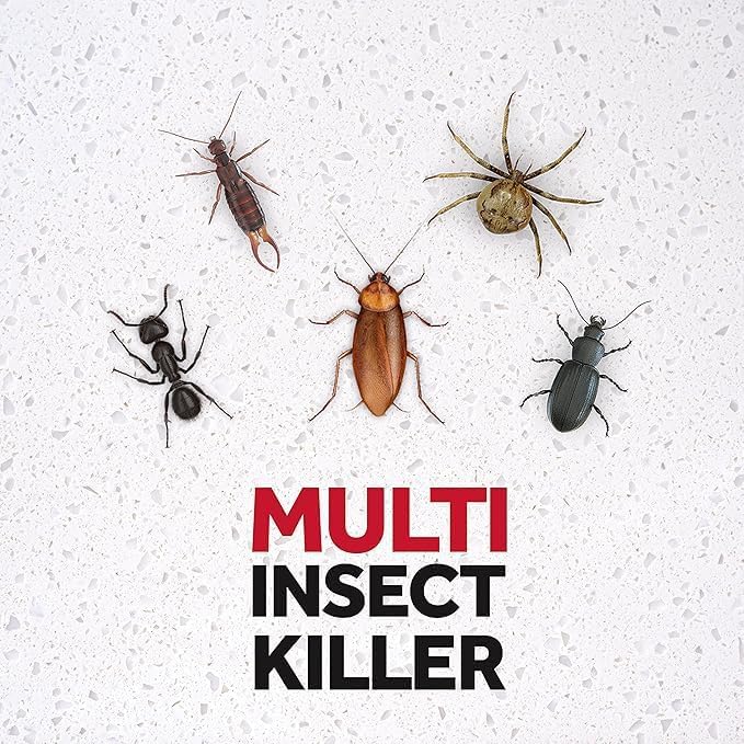 RAID Odorless Spray for Multi Insect Killer (Twin pack), 300ml. Against Roaches, Mosquitoes, Flies, Ants & Beetles - Image 1