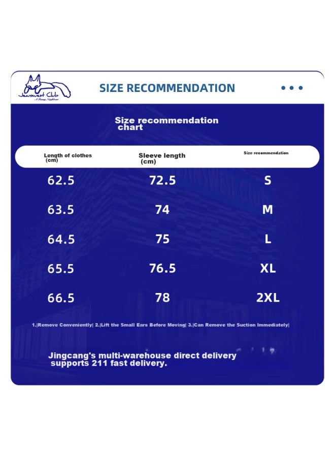 Jeanswest Club Contrasting Color Sweatshirt For Women, Autumn Round Neck Raglan Jacket, Sweet Style Design, Versatile Loose Top