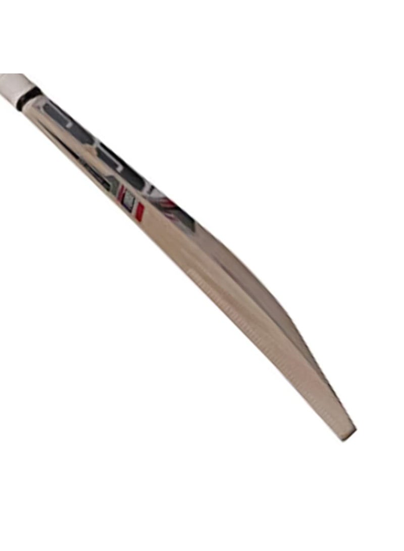 SS 281 Cricket Bat For Mens and Boys | Size - 4 | Material: Kashmir Willow | Lightweight | Free Cover | Ready to play | For Intermediate Player  - Image 5