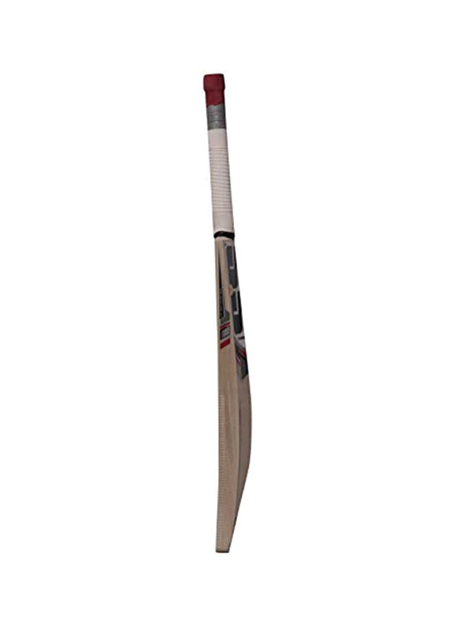 SS 281 Cricket Bat For Mens and Boys | Size - 4 | Material: Kashmir Willow | Lightweight | Free Cover | Ready to play | For Intermediate Player  - Image 4