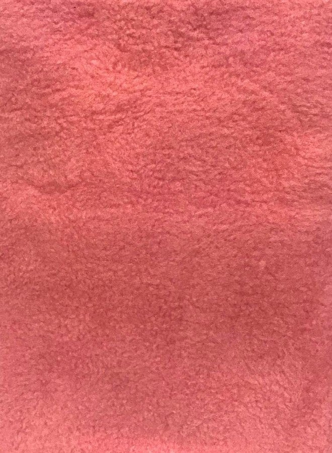cheesebaby - Baby Drysheet Bed Protector (L -140cm x 100 cm, Salmon Rose) - Image 2