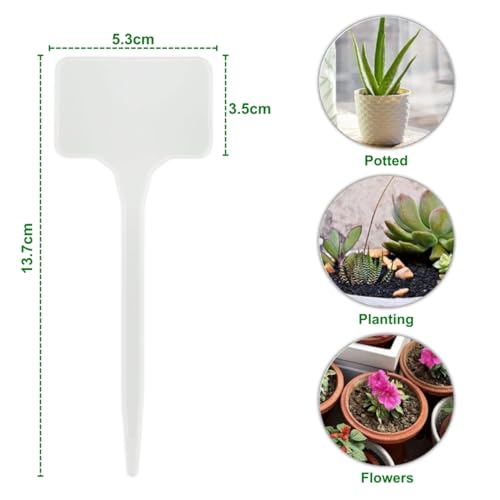 ecofynd 25Pcs 14 x 5.3cm Plastic T-Type Plant Shrub Tree Seeds Tags Markers, Nursery Garden Writable Labels Pot Name Tags for Gardening (White PM001-025) - Image 2