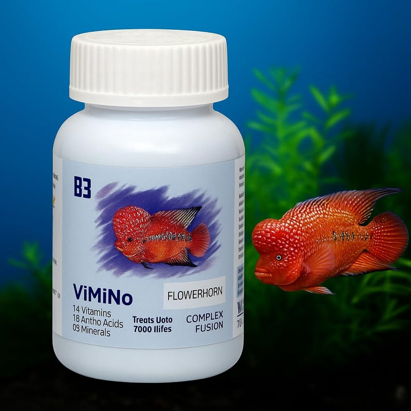VAYINATO Billion Bacteria ViMiNo 140ml | Vitamin Complex | 14 Vitamins, 18 Amino Acids, 9 Minerals | Curcumin Infused | Treats 7000 litres (for Flowerhorn) - Image 1