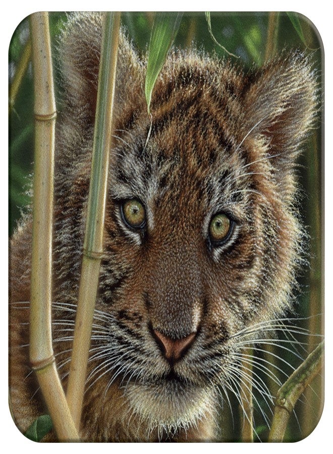  ديلوكس بايز قاعدة أكواب ثلاثية الأبعاد من الفلين من لايف لايف - ديسكفري من ديلوكس بيس. قاعدة أكواب مزينة بصورة حيوان ثلاثية الأبعاد. حصيرة أكواب مانعة للانزلاق لحماية الطاولة، مثالية لتزيين المنزل والإكسسوارات المنزلية. - Image 1