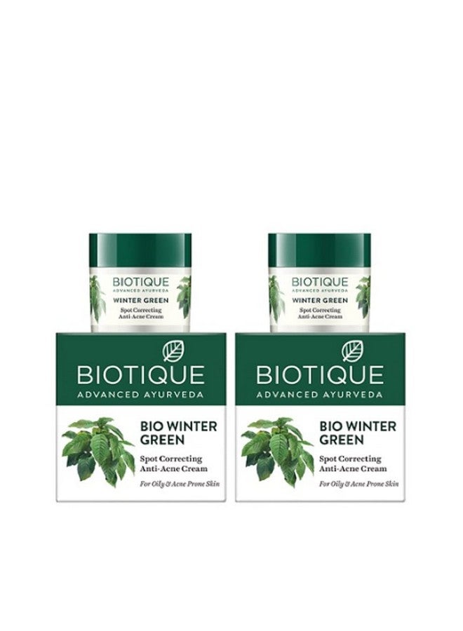 Biotique Biotique Bio Winter Green Spot Correcting Anti Acne Cream, 15g (Pack of 2)  - Image 1