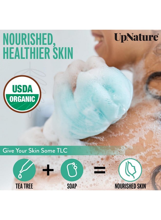 upnature - UpNature Organic Tea Tree Oil - 100% Pure Tea Tree Essential Oil for Skin, Toenail & Hair, 2oz - Image 1