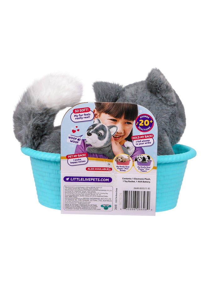 LITTLE LIVE PETS جرو ميني أورا من ماي ريلي ريال S2 - Image 5