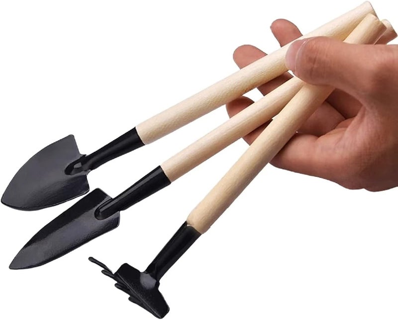 Typutomi Mini Garden Tool Set of 3, Indoor Hand Planting Tools Small Spade Rake Succulent Soil Tools for Transplanting Seedlings, Vegetable Seedlings - Image 1