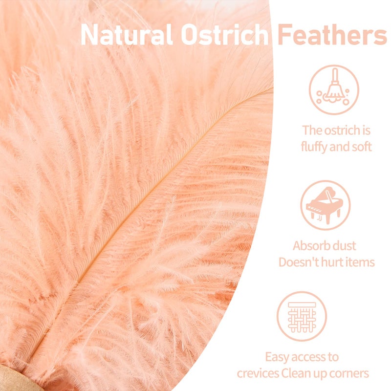 MehelloFeather Ostrich Feather Duster 12 Inch Handheld Duster Supplies, Wooden Handle Feather Duster for Cleaning Keyboard Home Car Office (Champagne) - Image 3