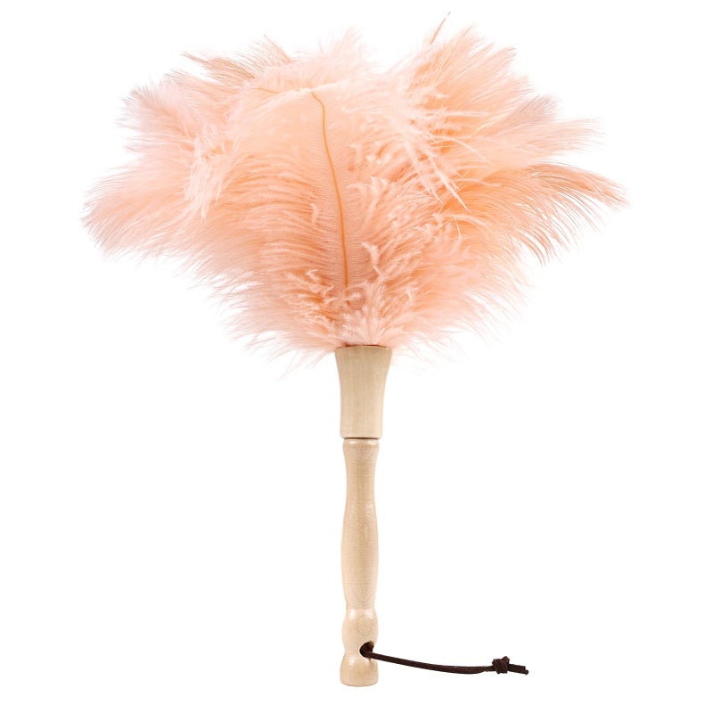 MehelloFeather Ostrich Feather Duster 12 Inch Handheld Duster Supplies, Wooden Handle Feather Duster for Cleaning Keyboard Home Car Office (Champagne) - Image 1