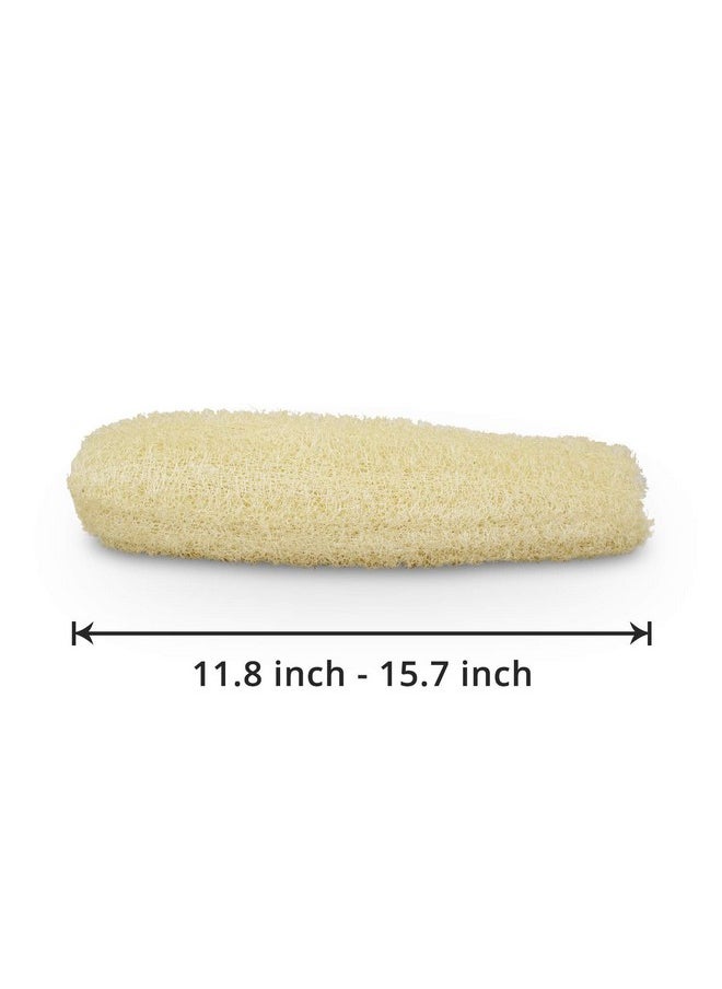 METLUCK - Natural Organic Loofah Sponges Large Exfoliating Shower Bath Loofah Luffa Loofa Body Scrubbers Sponges For Spa Beauty Bath And Radiant Skin Pack Of 4 - Image 1