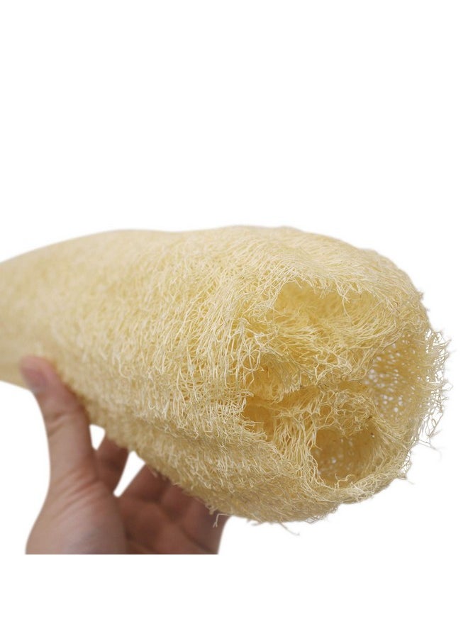 METLUCK - Natural Organic Loofah Sponges Large Exfoliating Shower Bath Loofah Luffa Loofa Body Scrubbers Sponges For Spa Beauty Bath And Radiant Skin Pack Of 4 - Image 1