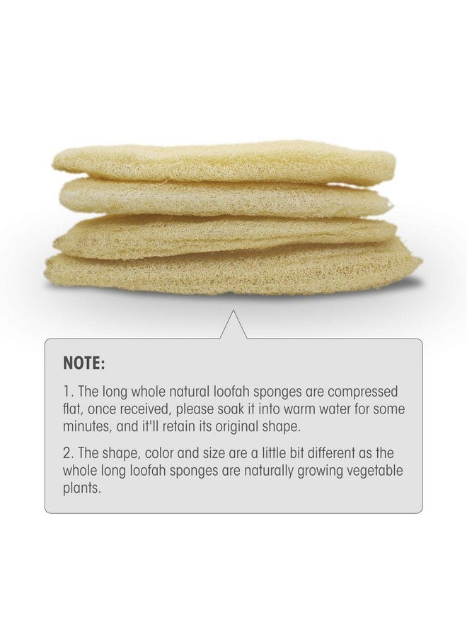 METLUCK - Natural Organic Loofah Sponges Large Exfoliating Shower Bath Loofah Luffa Loofa Body Scrubbers Sponges For Spa Beauty Bath And Radiant Skin Pack Of 4 - Image 1