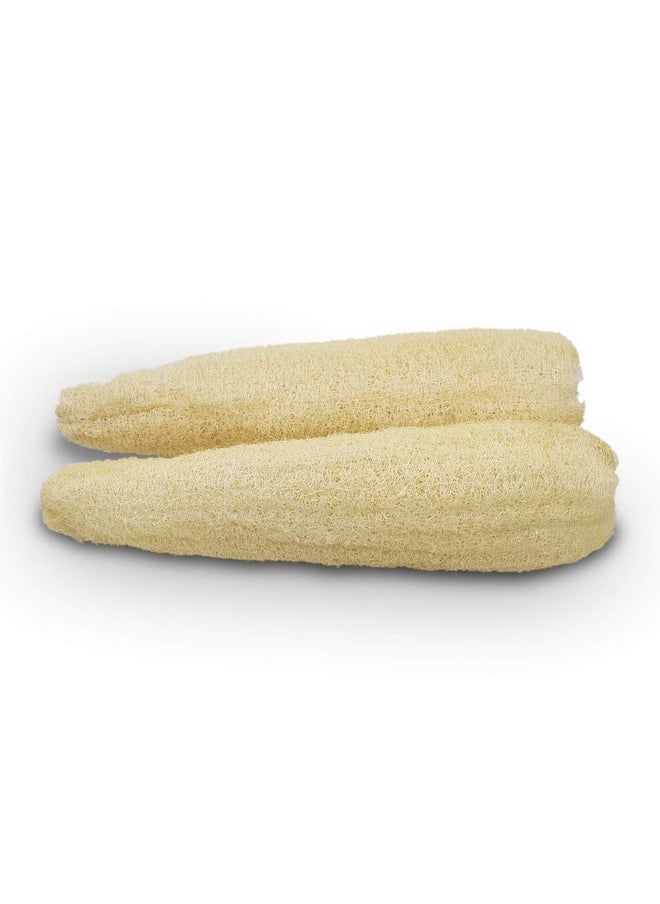 METLUCK - Natural Organic Loofah Sponges Large Exfoliating Shower Bath Loofah Luffa Loofa Body Scrubbers Sponges For Spa Beauty Bath And Radiant Skin Pack Of 4 - Image 1