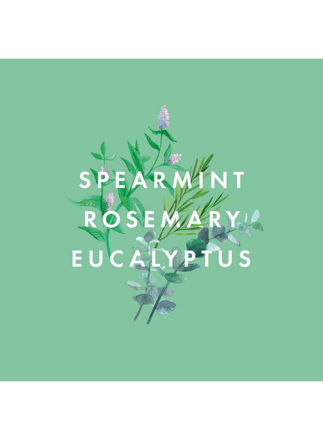 نيوم - حليب للجسم متعدد المعادن ٢٠٠ مل (نعناع، إكليل الجبل، وأوكالبتوس) | مغنيسيوم، زيت ثمر الورد، وزيت بذور الشيا | ترطيب، تغذية، وتجديد | نباتي - Image 5