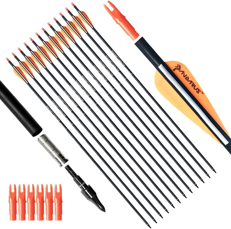 PANDARUS Archery 30/32/28 Inch Carbon Practice Hunting Arrows with Removable for Youth Compound & Recurve Bow Target (Pack of 12) - Image 1