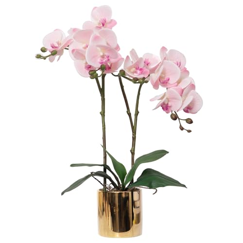 CXGS Artificial Orchid Flower Plant Real Touch Faux Orchids in Ceramic Vase Pink 19.7'' Fake Phalaenopsis Flower Arrangement Centerpiece Home Indoor Decor - Image 1